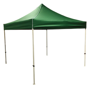 Plain 10x10 EZ pop up Tent Canopy Green